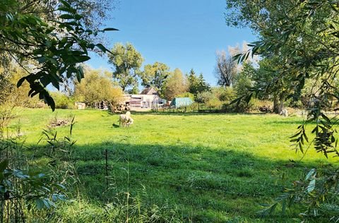 Borrentin Grundstücke, Borrentin Grundstück kaufen