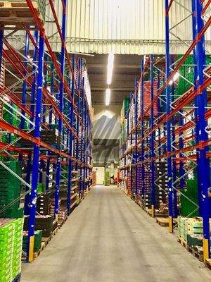 INFOS UNTER: 06171-586000