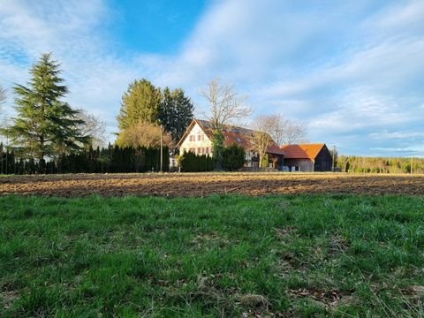 Niederrieden Häuser, Niederrieden Haus kaufen