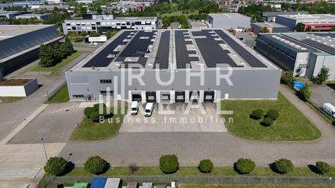 Münster Halle, Münster Hallenfläche