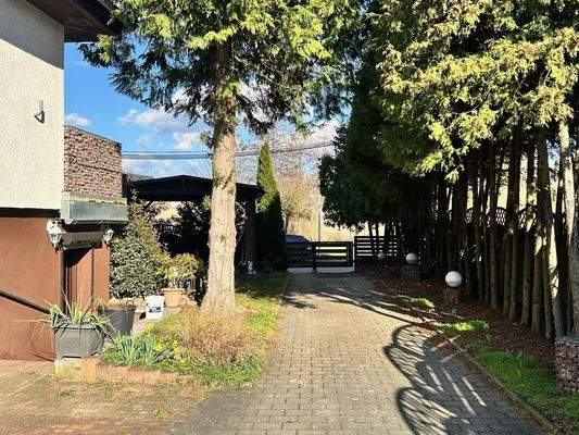 Grundstückszufahrt / PKW-Stellplätze