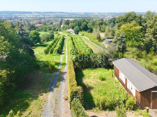 Blick nach unten Richtung Gewächshaus