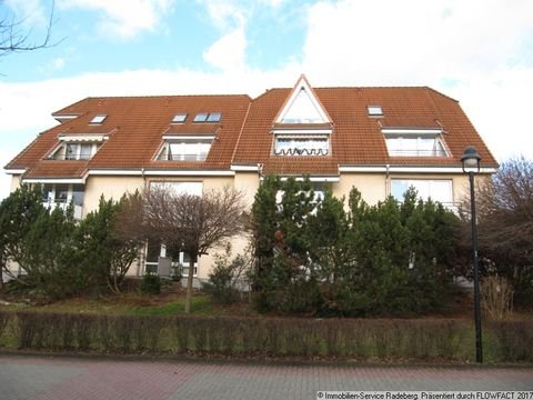 Radeberg Wohnungen, Radeberg Wohnung mieten