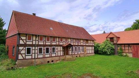 Liebenburg Bauernhöfe, Landwirtschaft, Liebenburg Forstwirtschaft