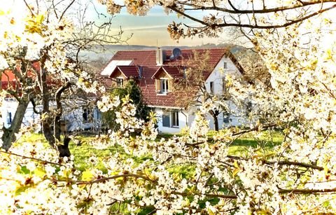 Odernheim am Glan Häuser, Odernheim am Glan Haus kaufen