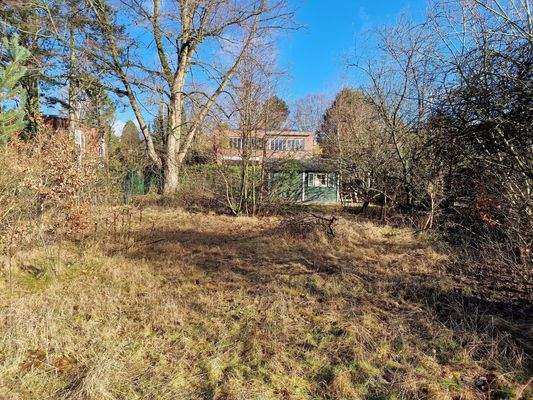 Blick Richtung Gartenhaus