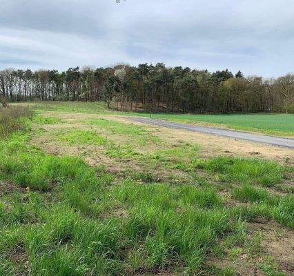 Grundstücke Baugebiet Nesberg 