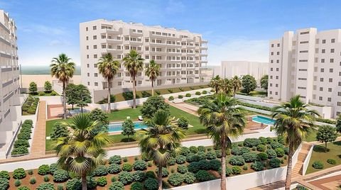 San Miguel de Salinas Wohnungen, San Miguel de Salinas Wohnung kaufen