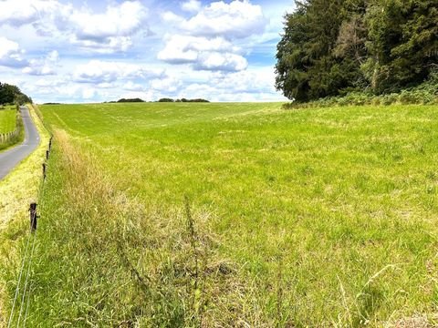 Wermelskirchen Bauernhöfe, Landwirtschaft, Wermelskirchen Forstwirtschaft