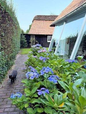 Garten mit Blick auf Gästehaus