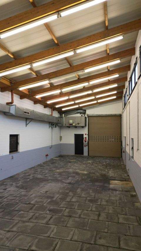 Erftstadt Halle, Erftstadt Hallenfläche