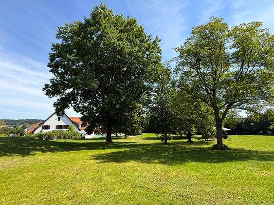 wundervoller Baumbestand mit zusätzlichen Obstbäumen 