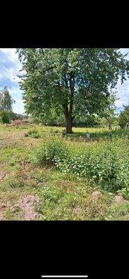 WhatsApp Image 2025-08-02 at 21.25.10 (6)