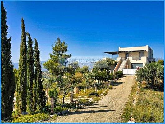 0bbfc5a095f54764bf6e3a22d3a7db2d-original