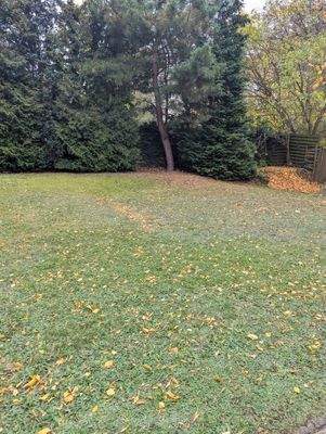 Gartenbereich mit PKW Stellplätzen