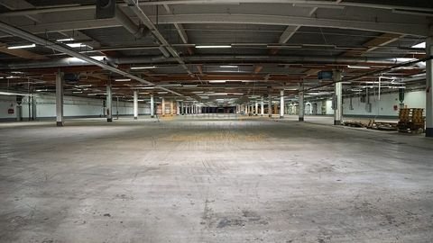 Mastershausen Halle, Mastershausen Hallenfläche