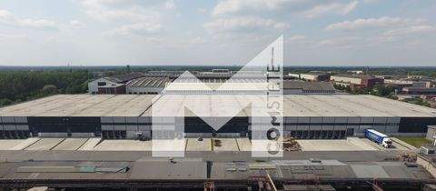 Duisburg Halle, Duisburg Hallenfläche