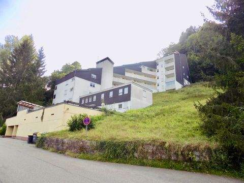 Bad Wildbad Wohnungen, Bad Wildbad Wohnung kaufen