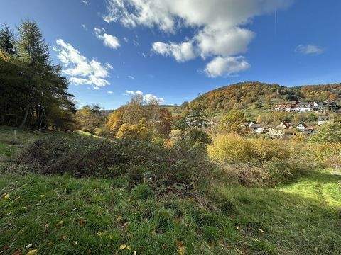 Heimbuchenthal Grundstücke, Heimbuchenthal Grundstück kaufen