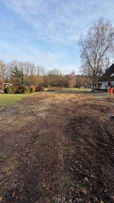 Blick von der Strasse aufs Grundstück