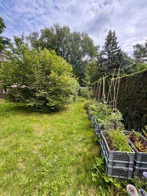 Grundstück Grenze Nachbar