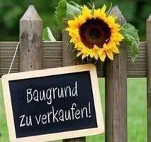 Waldsee Grundstücke, Waldsee Grundstück kaufen