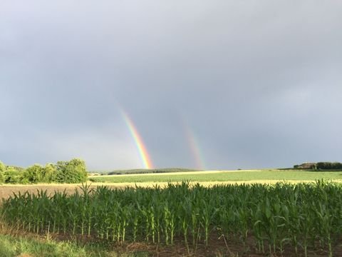 Helbedündorf Bauernhöfe, Landwirtschaft, Helbedündorf Forstwirtschaft