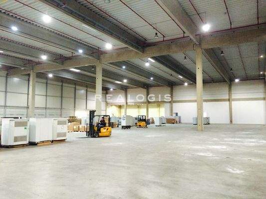 Beispielansicht Hallenfläche