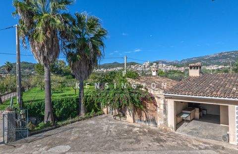 Selva Häuser, Selva Haus kaufen