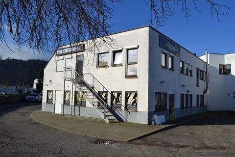 Tuttlingen Halle, Tuttlingen Hallenfläche