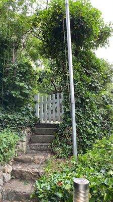 Und Blick z. Aufgang obere Terrasse