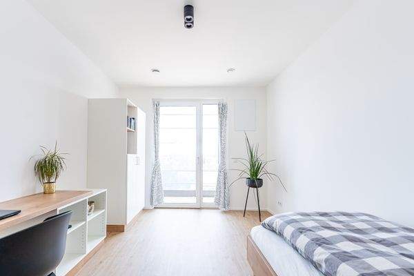 SO104746-HDR-1_m_vorhang