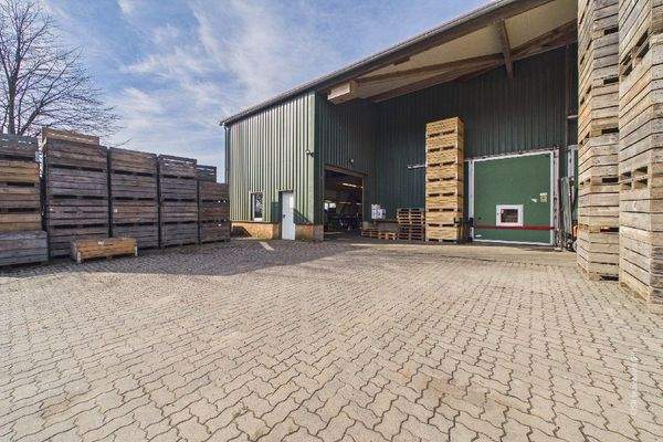 Sortierhalle mit Kältelager