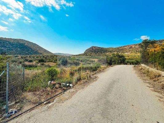 7935855414f341daad61d5b3b4cbd514-original