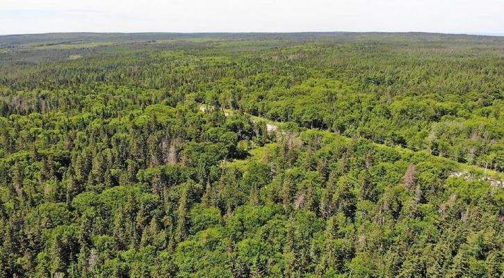 Cape Breton - Big Pond - East Bay Hills - Großzügi