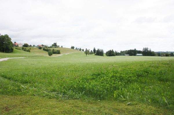 Nordseite - Grundstückfläche