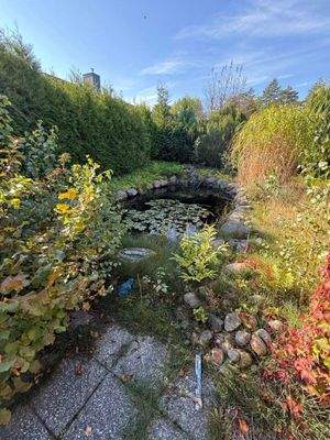 Gartenteich