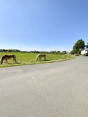 idyllische Zufahrt......