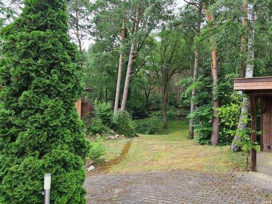 Blick von der Grundstückszufahrt