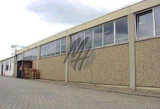 INFOS UNTER: 06171-586000