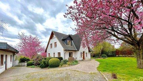 Felm Häuser, Felm Haus kaufen