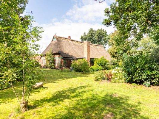 Blick vom Garten zum Haus