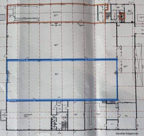 Trier Halle, Trier Hallenfläche