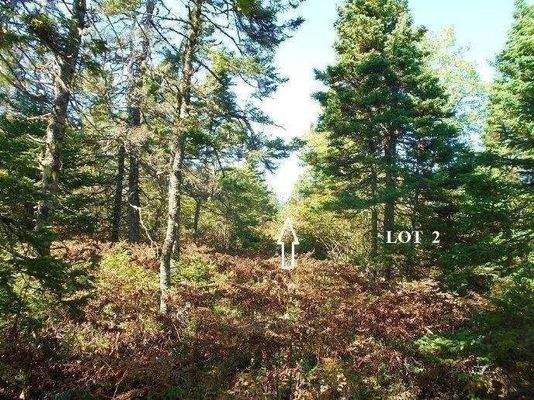 im Landesinneren - sehr gute Untergrund