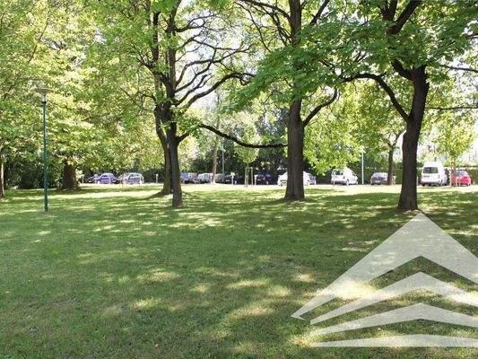 Grünzone Paul Hahn Center