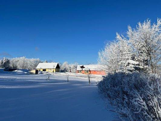 Blick Richtung Straße.jpeg