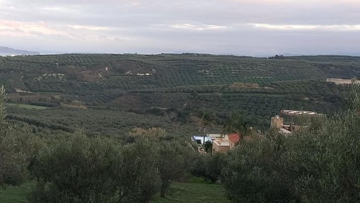 Kreta, Darmarochori: Riesiges Grundstück in der Nähe von Kolymvari zu verkaufen