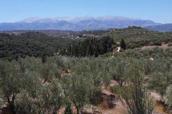 Kreta, Tsivaras: Grundstück in malerischer Lage mit Meerblick zu verkaufen