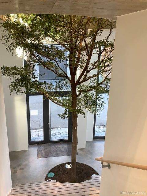 Wangen Büros, Büroräume, Büroflächen 