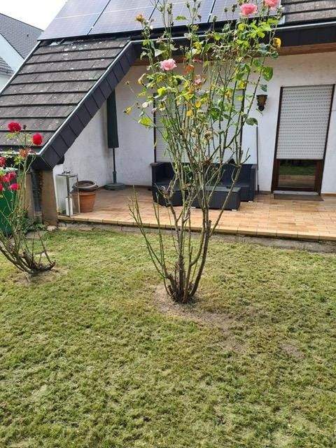 Breisach Wohnungen, Breisach Wohnung mieten